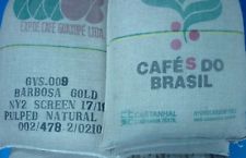 Brazilian Santos Arabica Green Coffee Beans S