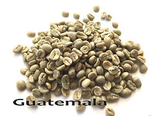 5 LBS Green Coffee - Guatemala Huehuetenango 