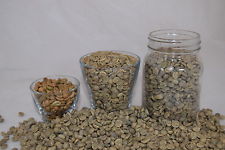 Green Coffee Beans RAW Brazil Santos DIY 250g