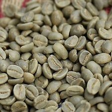 Raw Unroasted Green Coffee Beans Origin Coffe