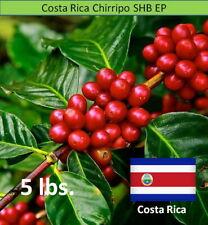 Green Coffee Beans Costa Rica Chirripo SHB EP Unroasted, 5 lbs.