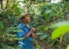 1kg Costa Rica - Santa Anita - Green Coffee Beans - Home Roasting