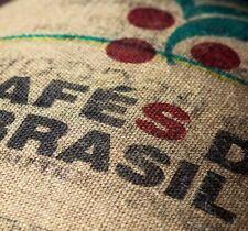 Raw Green Coffee Beans 100% Arabica Unroasted