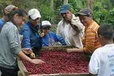 Guatemalan Huehuetenango SHB Coffee Beans Fre
