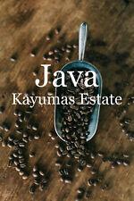 5 -15 lbs. Indo-Pacific Java Estate Kayumas F